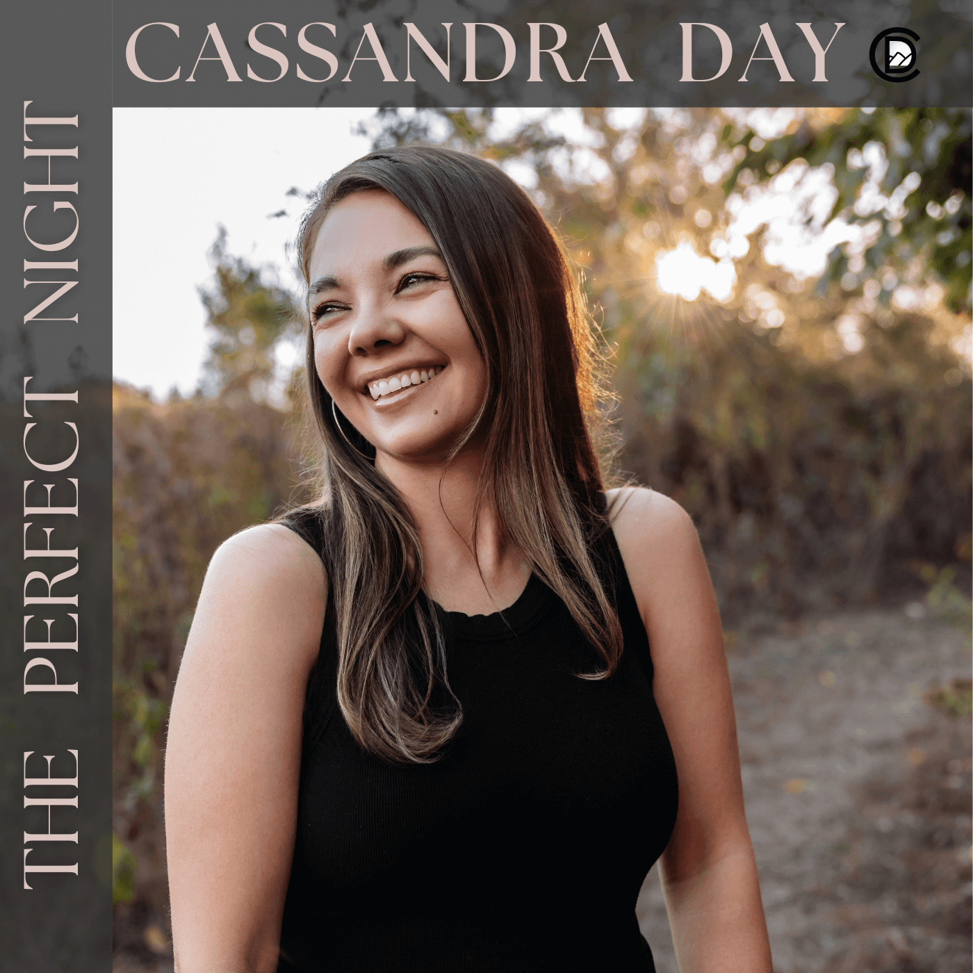 The Perfect Night — Cassandra Day